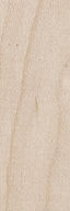 Photo showing color and grain of Hard Maple